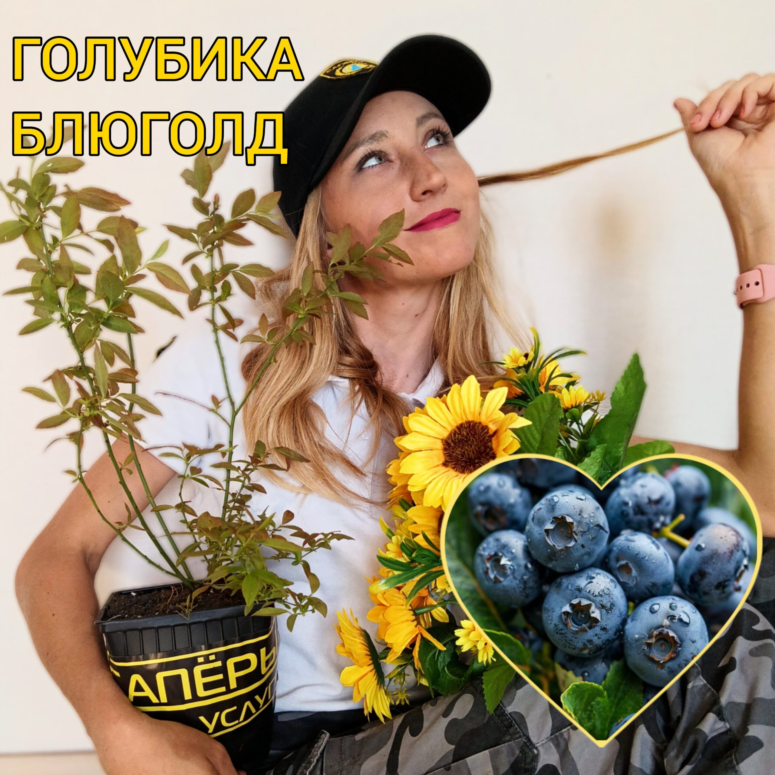 Голубика Блюголд (Bluegold, Блю Голд) — саженцы высокоурожайного сорта ?✨